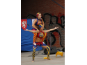 Akrobatické šašice Siderea
