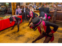 Welcome to Cabaret Siderea